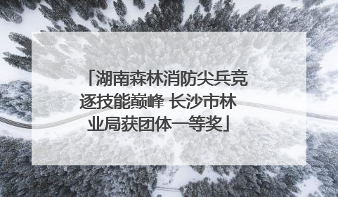 湖南森林消防尖兵竞逐技能巅峰 长沙市林业局获团体一等奖